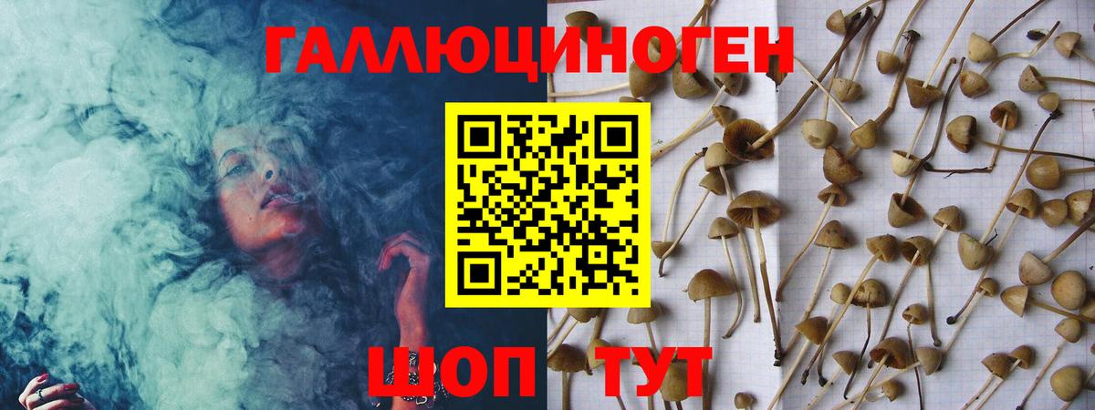 Галлюциногенные грибы Magic Shrooms  наркошоп  Еманжелинск 