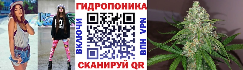 Бошки марихуана план  Еманжелинск 