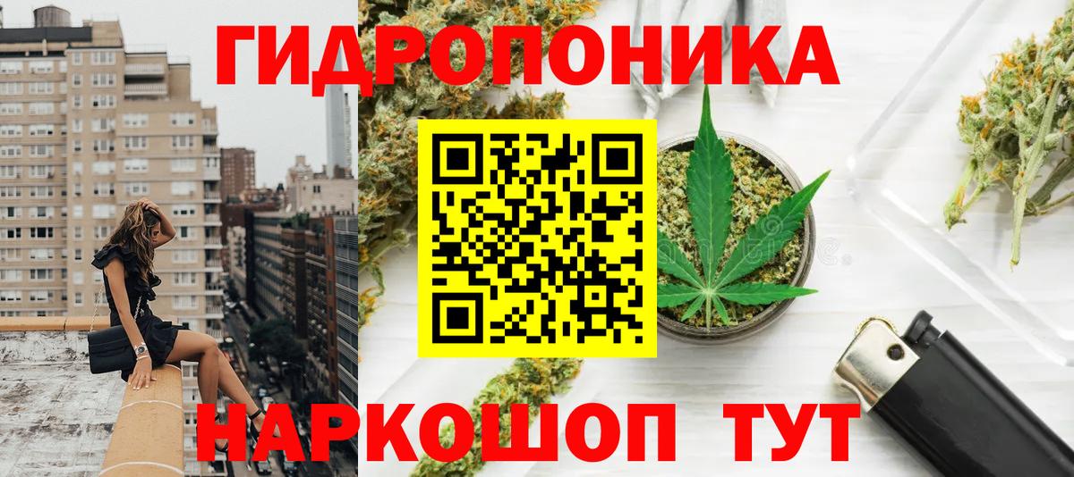 Марихуана планчик  Шишки марихуана VHQ  Вход с VPN  Еманжелинск  МАРИХУАНА конопля  Каннабис THC 21% 
